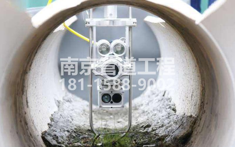 221颂德里QV检测